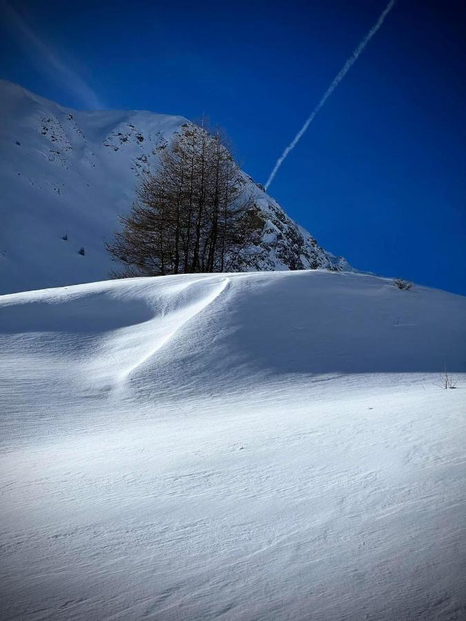 Royal Suite Totto'Netta 504 Passo del Tonale Exteriér fotografie
